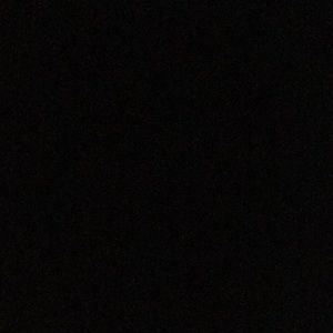 Meet your Posher, Bobby